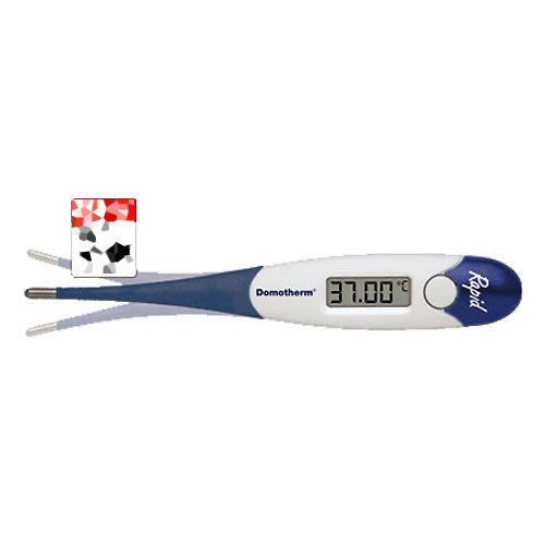 DOMOTHERM Rapid Fieberthermometer 1 St